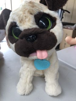 Lindo Perrito
