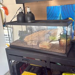 40 Gal. Reptile Tank With Lights And Rocks