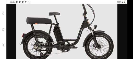 Radpower bike