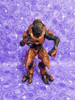 Halo Eliate Zealot