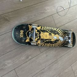 virgin maru board DGK