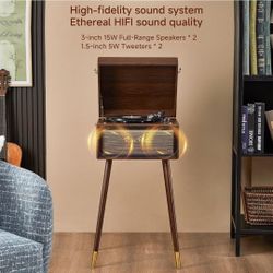 Vinyl Player Vintage Style 