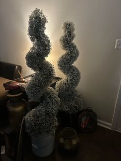 Set of two spiral topiary plants in pots.