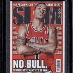 Derrick Rose Slam NBA Hoops