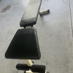 Adjustable Work Out Bench Dumbells