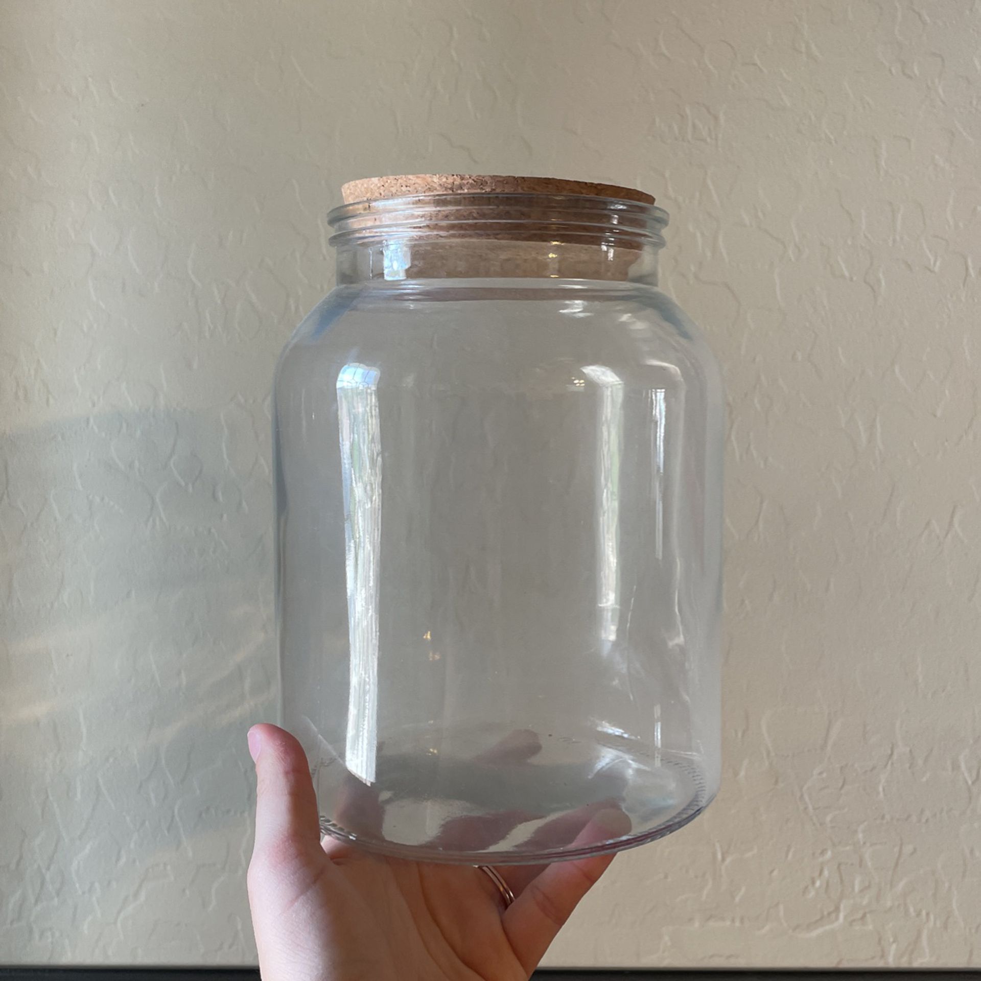 Large Glass Jar With Cork Lid for Sale in Mesa, AZ - OfferUp