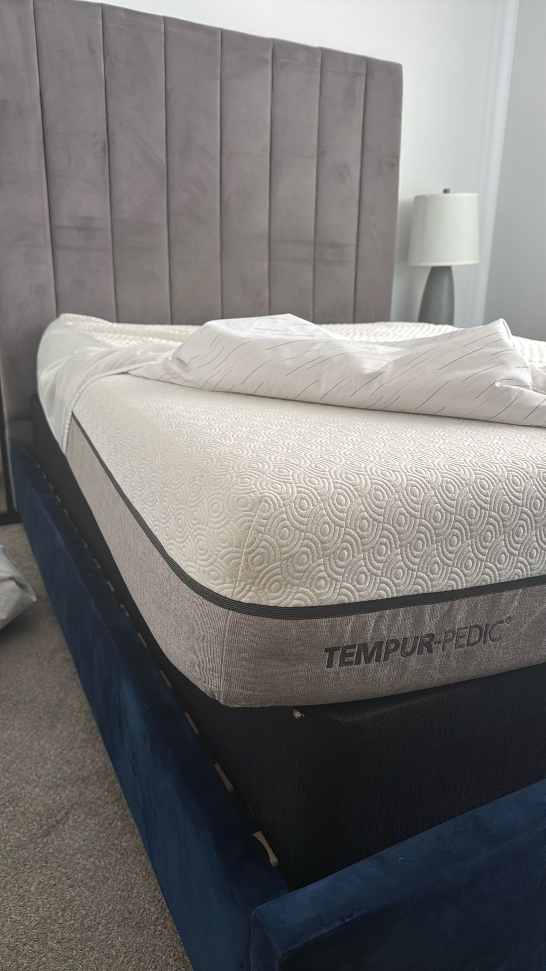 Temperpedic Anniversary Edition