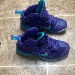 LeBron 9 Hornets 6.5Y
