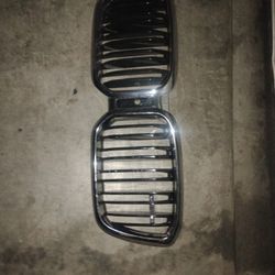 BMW Grill Plate