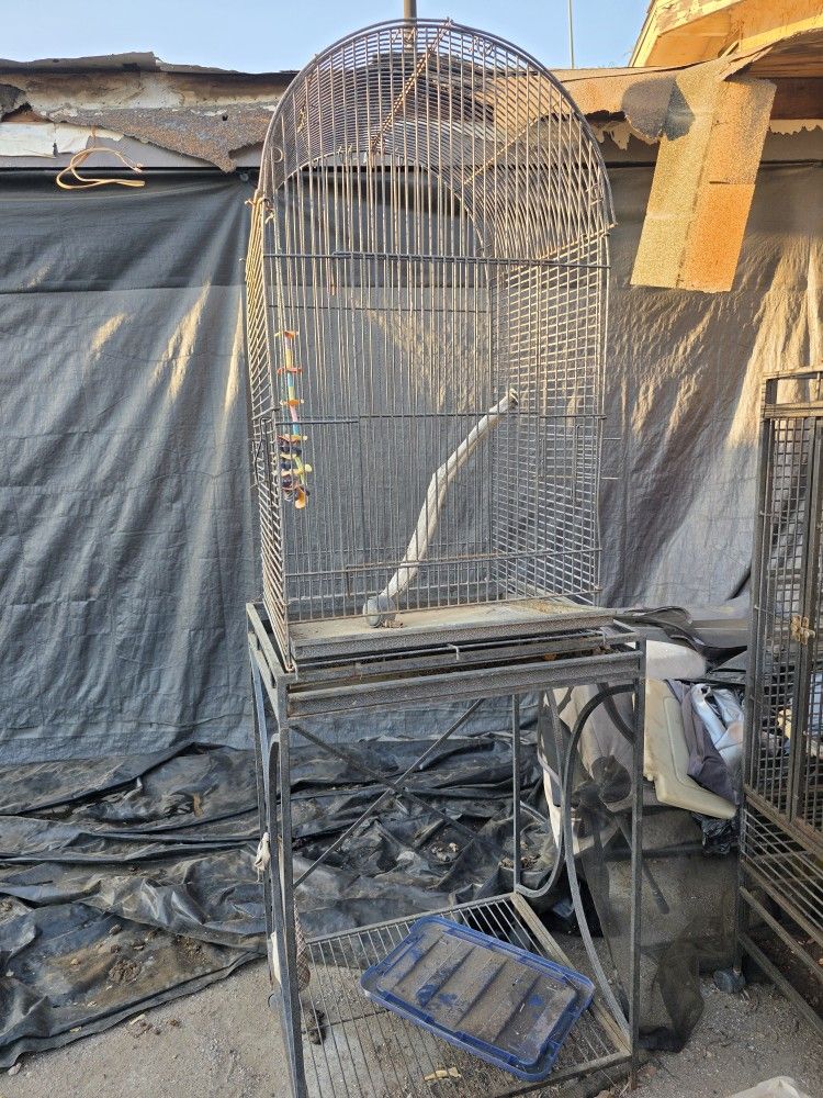 Bird Cage