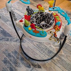 Fisher-Price Baby Bouncer