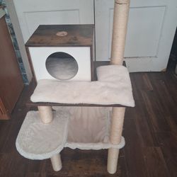 Cat House 