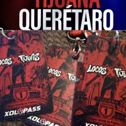 en renta 2 xolo pass zona 1L exelente vista 20 dlls c/u