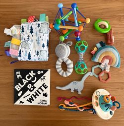 Misc Baby Teethers and Toys