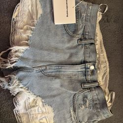 Alexander Wang Denim Shorts New