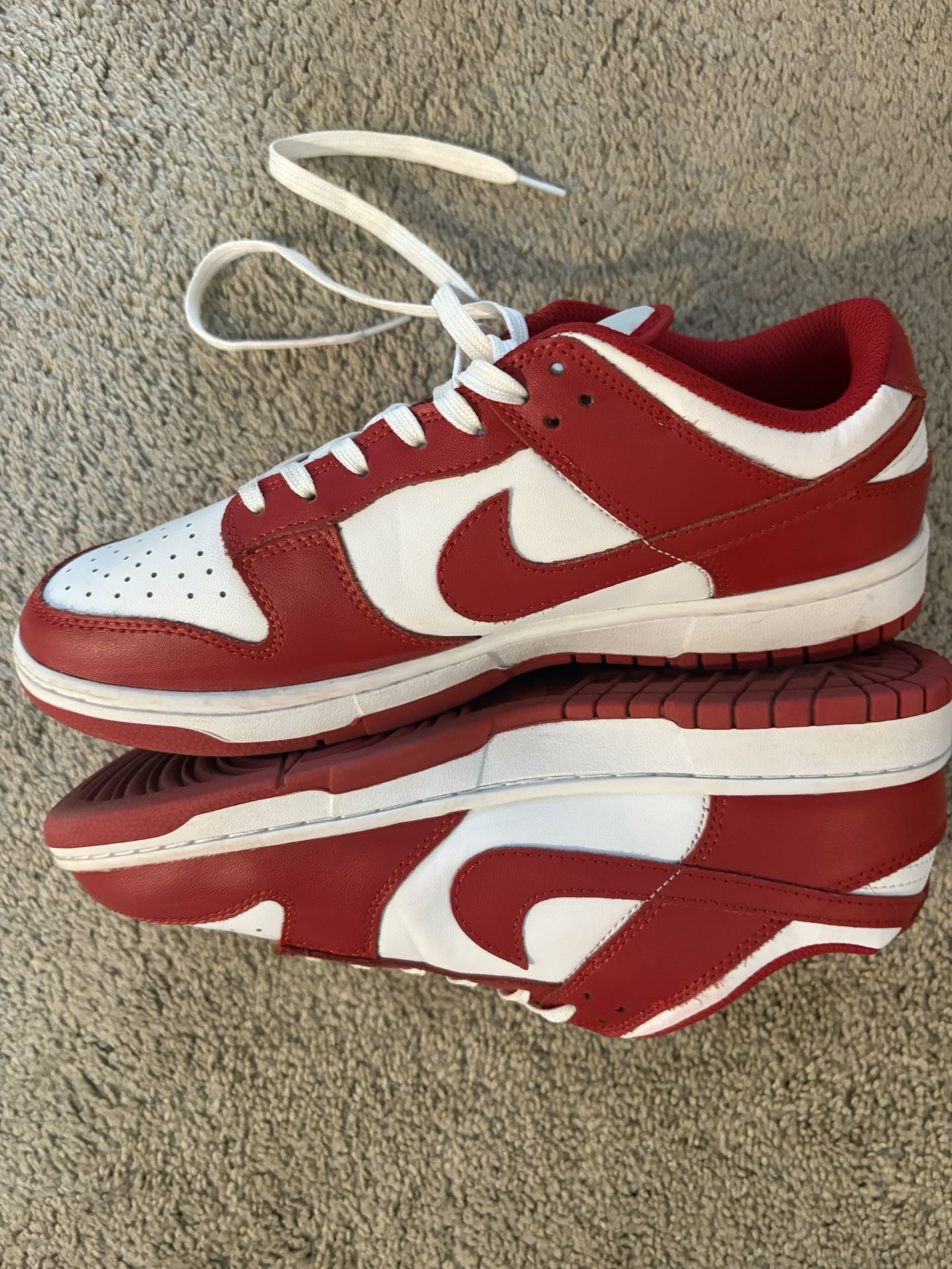 SB Dunks 100 Size 10 In Women