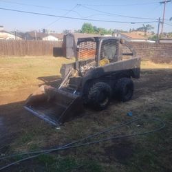 Bobcat 