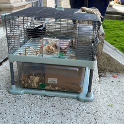 Hamster Penthouse