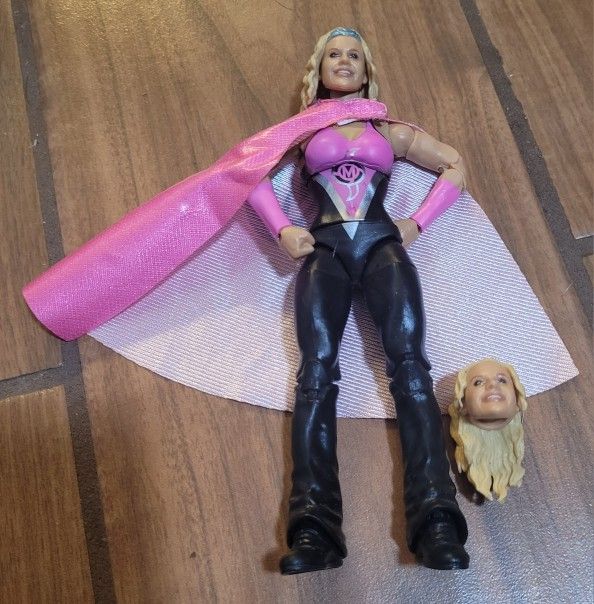 Wwe Molly Holly Women's Wrestling Action Figure