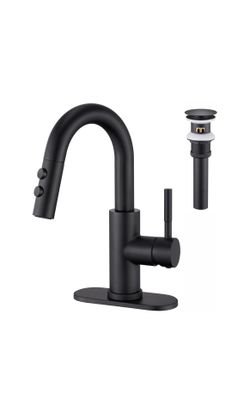 Bathroom Sink Faucet with Pull Down Sprayer (New in Box)