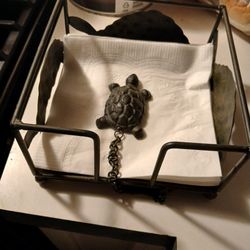 Turtle Napkins Holder