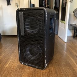 TC Electronic RS210 Bass Cab