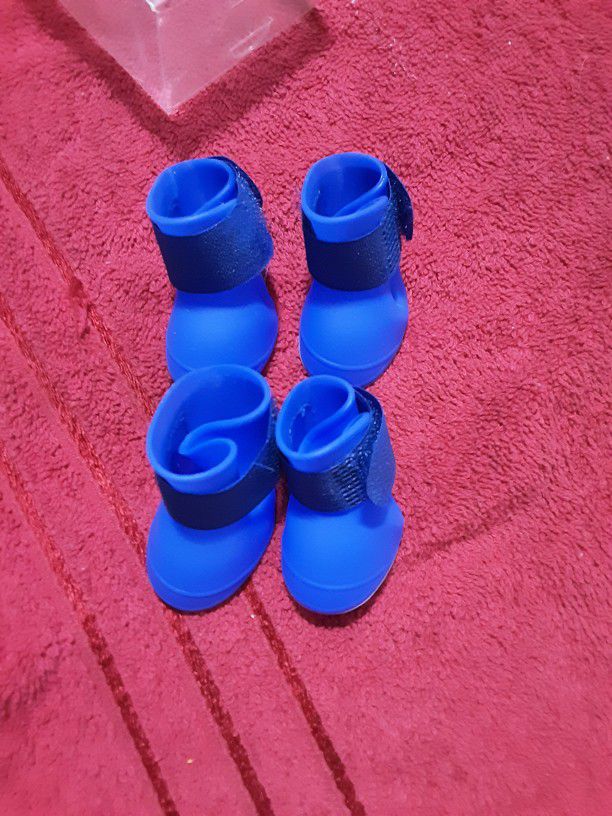 New In Box Rain Boots For Small Animals 