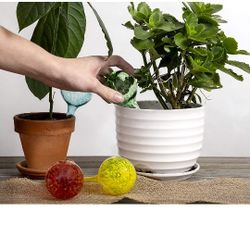 Watering Globes 4 Pc