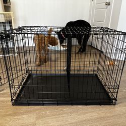 Dog Cage