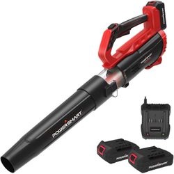PowerSmart 20V Cordless Leaf Blower with 2 Batteries and Charger, Blowers for Lawn Care, Snow Blowing & Yard Cleaning