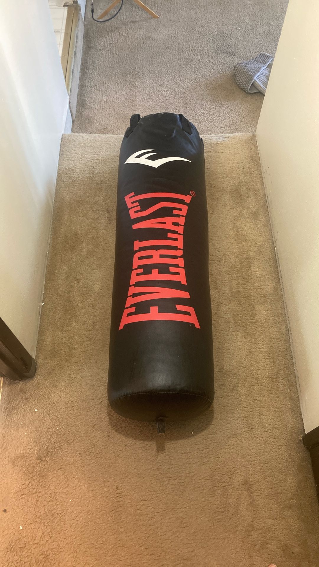 Everlast 100 Pound Heavy Punching Bag
