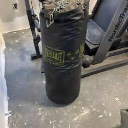 Punching/Boxing Bag