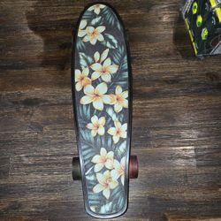 22inch Kryptonics Skate Board