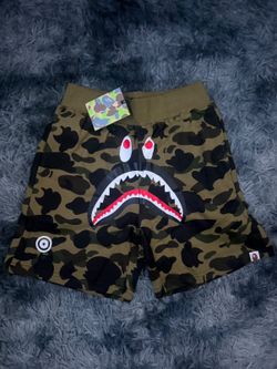 Size L