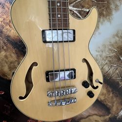 Bajo Semi Nuevo No Lo Uso 