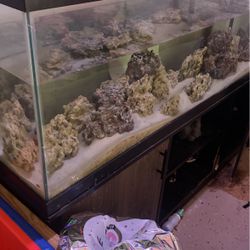 Fish Tank 