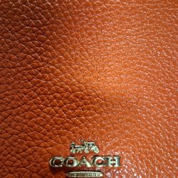 Wallet Cross Body