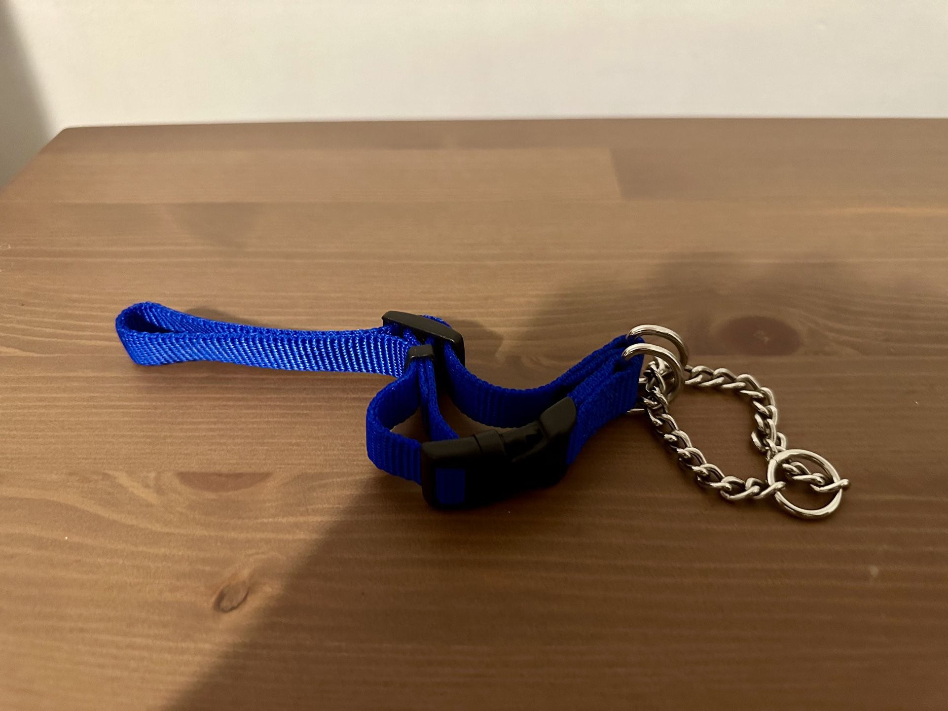 Coastal Dog Collar