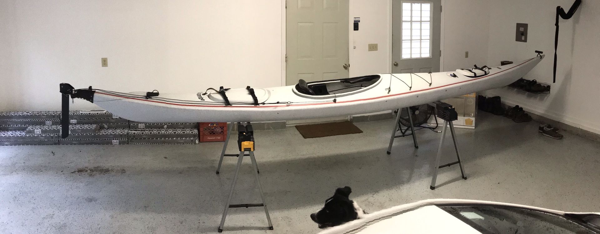 Perception Sea Lion Sea Kayak for Sale in Williamsburg, VA OfferUp
