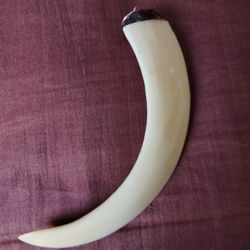 Javelin Boar Tusk Pendant 