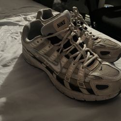 Nike Running Shoes P-6000
