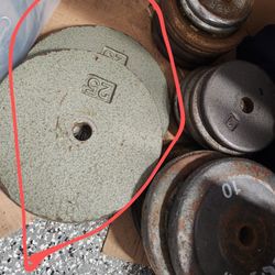 25s Gym Weights $40 Pair Bench Press Curl 💪 