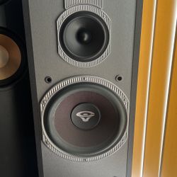 Cerwin-Vega V-10F Speakers