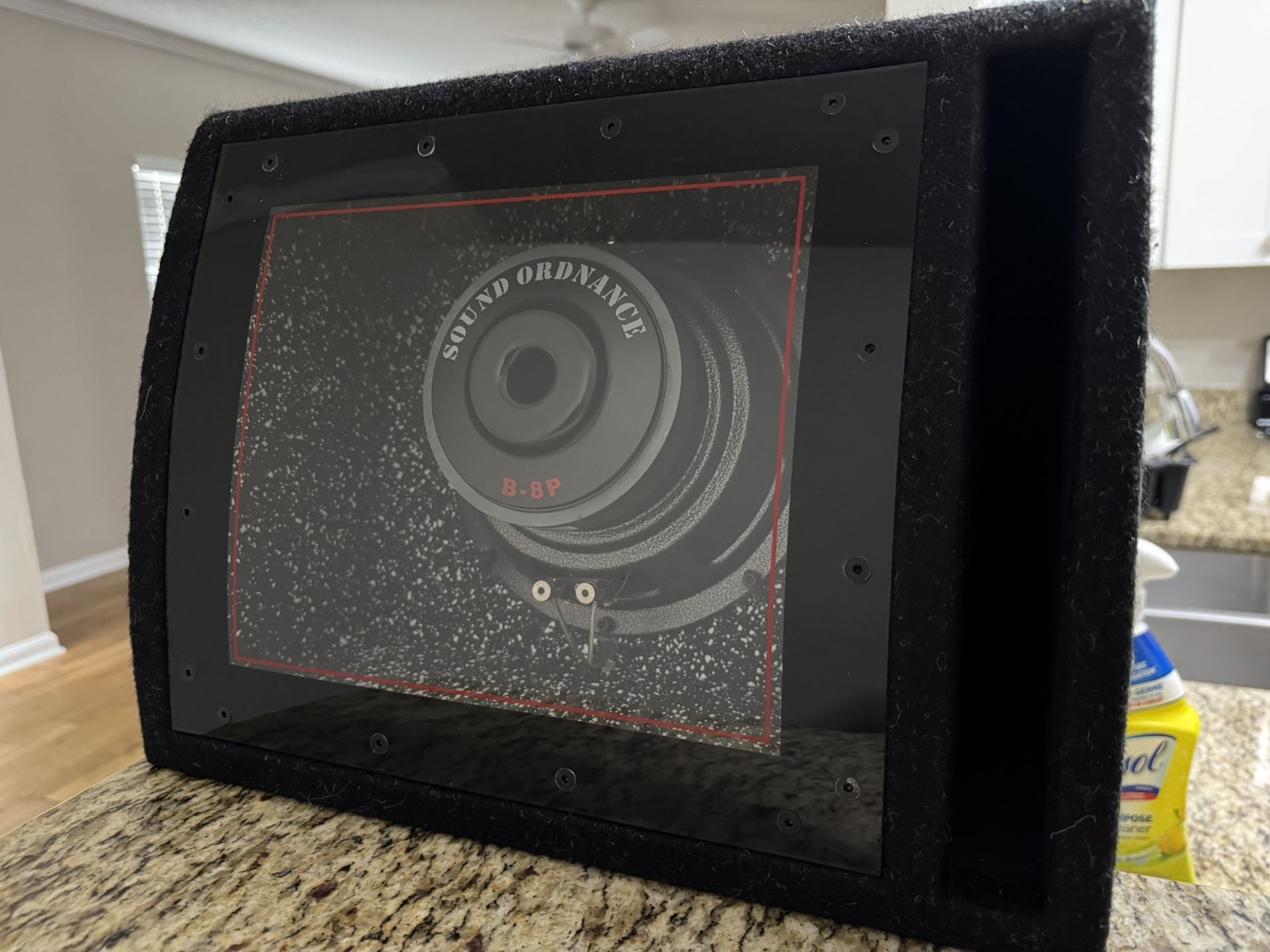 8” Powered Subwoofer