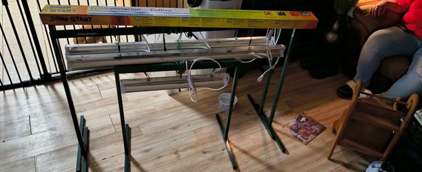 Jump Start Plant Grow light Setup