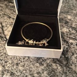 Sterling Silver Pandora Bracelet With Charms
