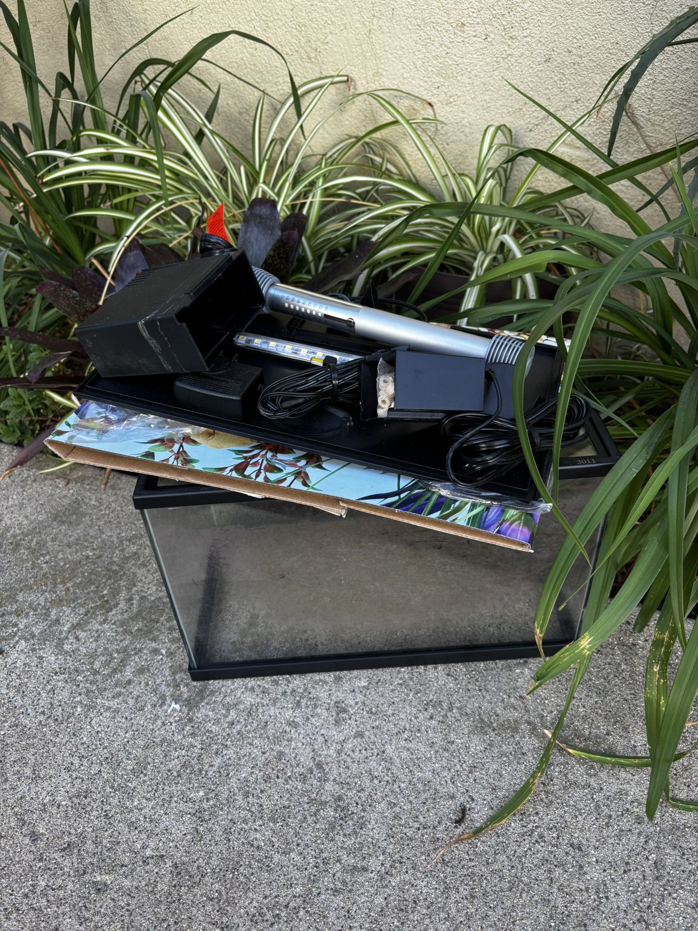 5 Gallon Betta Fish Tank