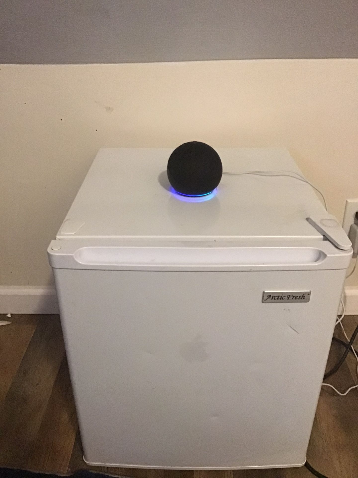 Alexa, Mini Fridge, Read DESC