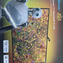 Govee TV Backlight 3 Lite For 55-65 inch TVs New Open Box H6099