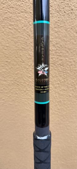 Calstar BWCDH 6480 30-60  fishing rod